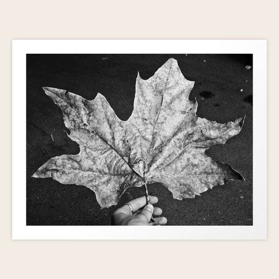 Big Art Print