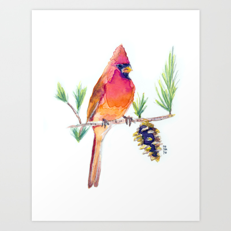 Red Cardinal Bird Watercolor Painting Art Print By Petramuller