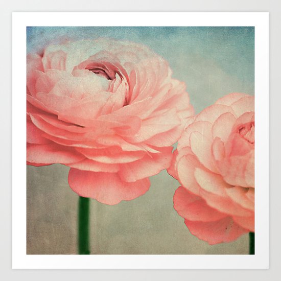 Vintage Ranunculus (5) Art Print