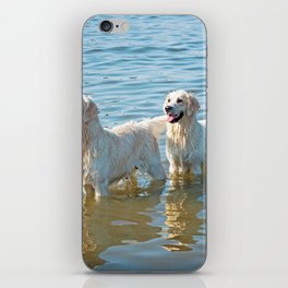 Two Dogs Playing Water  iPhone Skin