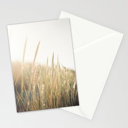 Seagrass in the sun Stationery Cards