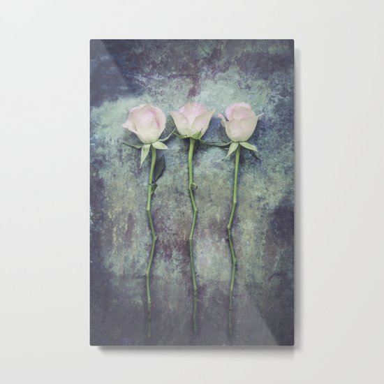 Three Roses IV Metal Print