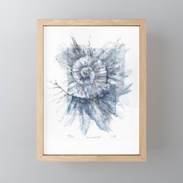 Ammonite no.100 Framed Mini Art Print