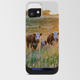 Nebraska Hereford Cattle Sunset iPhone Card Case