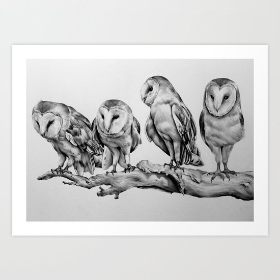 Barn Owls Art Print