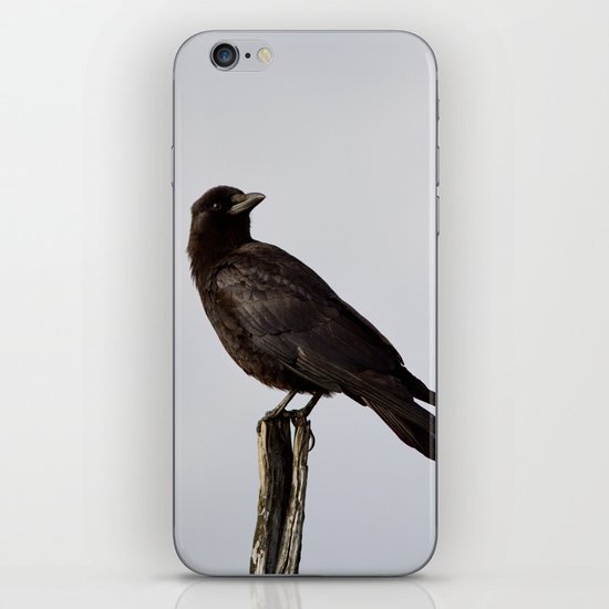 Standing Tall iPhone & iPod Skin