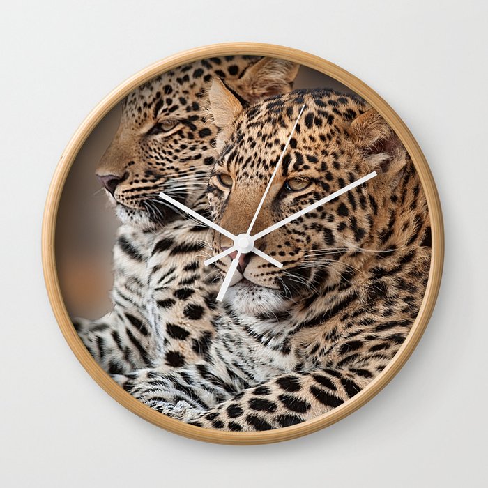 South Africa Photography - Two Beautiful Leopards Wall Clock
