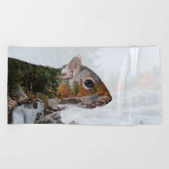 Waterfall Squirrel Beach Towel
