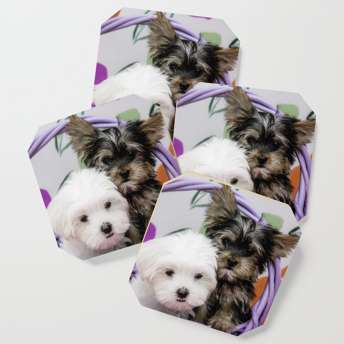 Maltese Puppy And A Yorkshire Terrier Puppy Cuddling In A Purple
