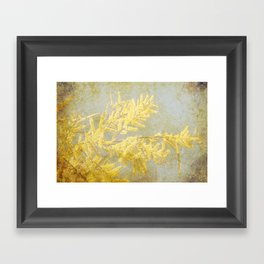 Golden Wattle Framed Art Print