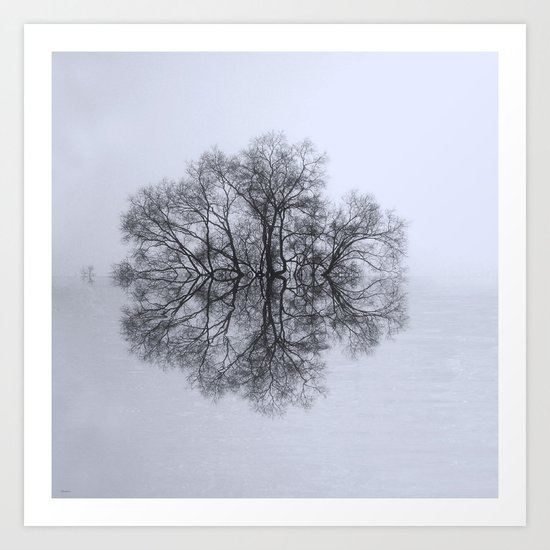 Trees of Reflection Art Print