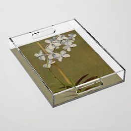 Naturalist Orchid Acrylic Tray