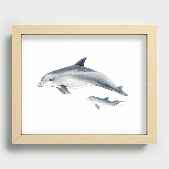 Bottlenose dolphin Recessed Framed Print
