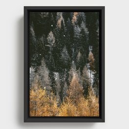 Winter Forest in the Mountains  Framed Canvas