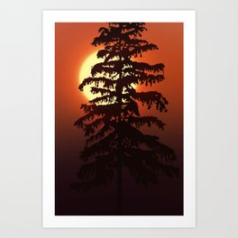 Forest landscape Art Print