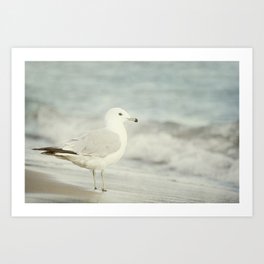 Seagull By the Sea Art Print