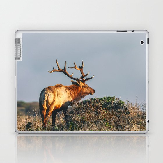 Smell the Air Laptop & iPad Skin