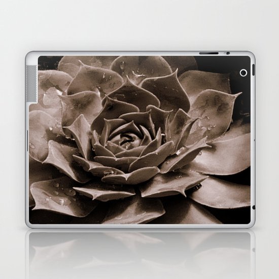 Farmer's Market Laptop & iPad Skin