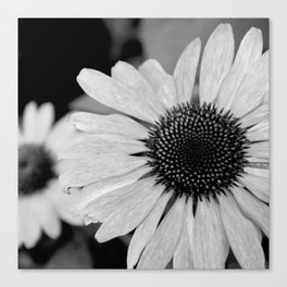 Pretty Little Things Canvas Print