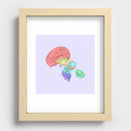 Exploded Anatomical Brain Recessed Framed Print