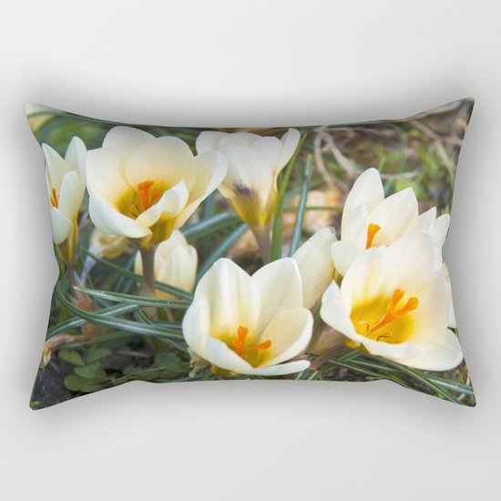 MEADOW of SPRING Rectangular Pillow