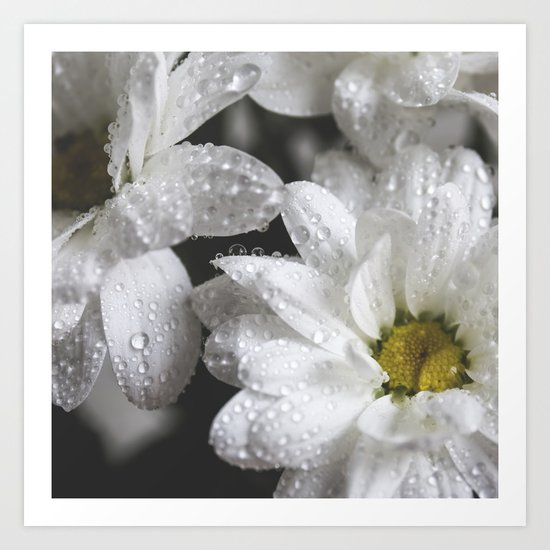 Daisies with drops Art Print