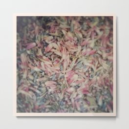 Mixed petals Metal Print | Digital, Pastels, Pink, Cream, Color, White, Confetti, Heather, Flower, Filters 