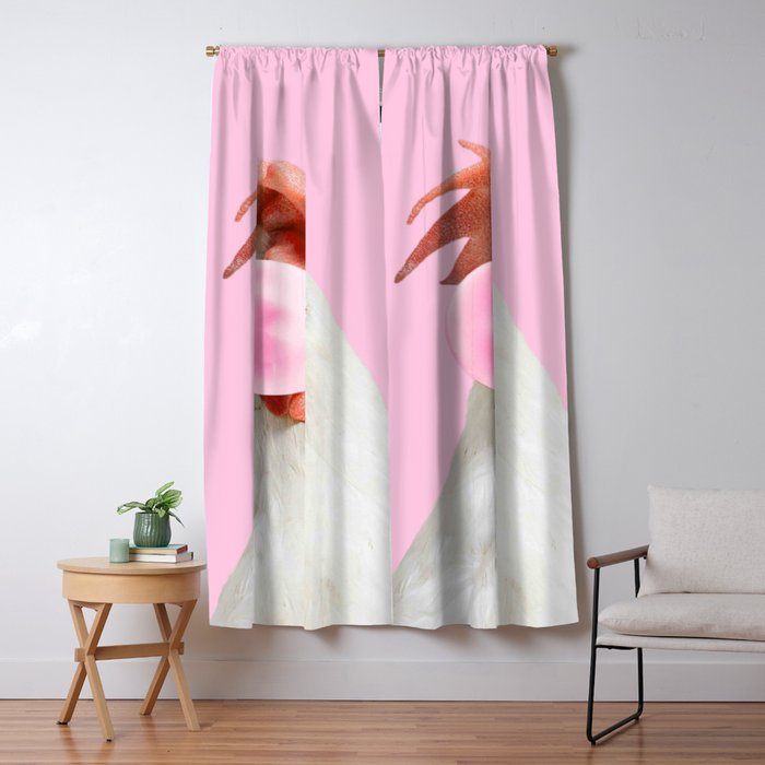 Blackout Curtain