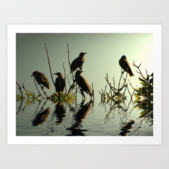 Starling Sunset Art Print
