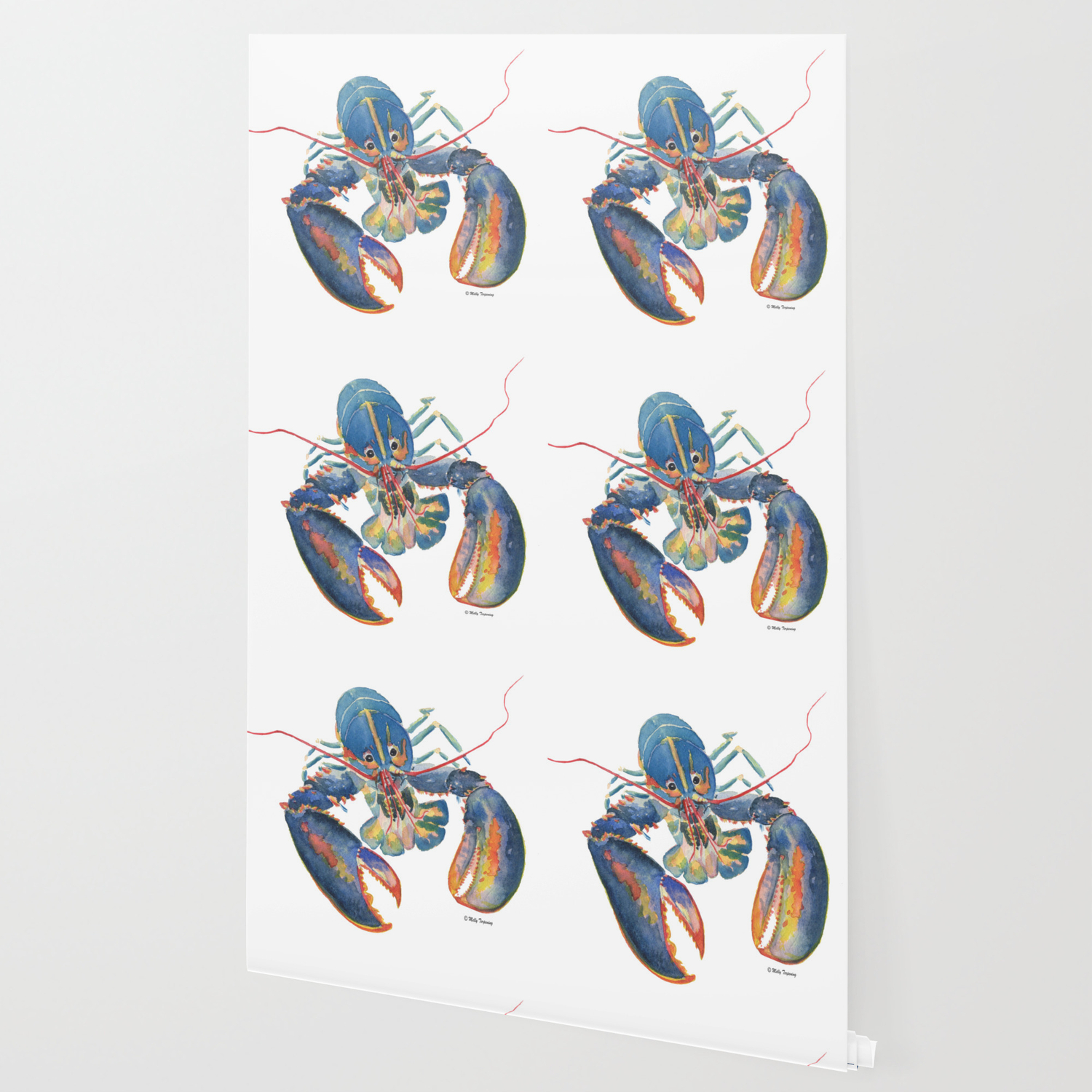 society6