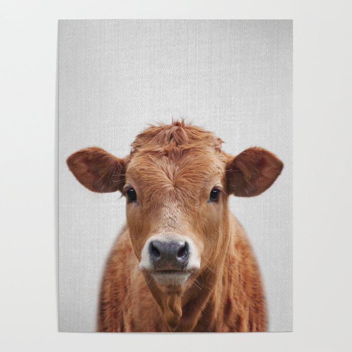 Cow 2 - Colorful Poster