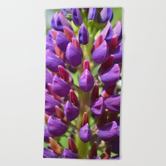 Lupine Beach Towel