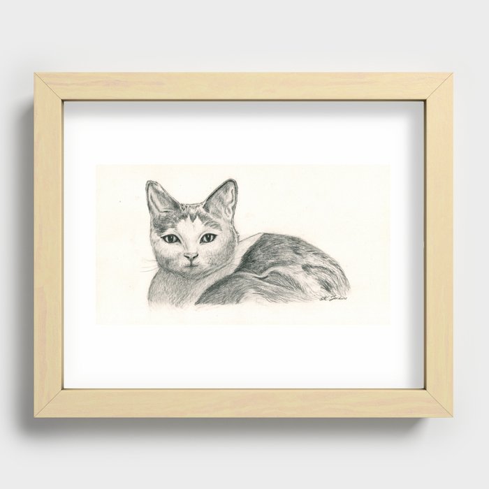 Cat Recessed Framed Print