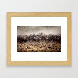 Wildebeest Herd Framed Art Print