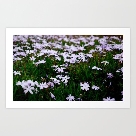 Field Art Print