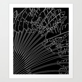Palm Fronds (black) Art Print