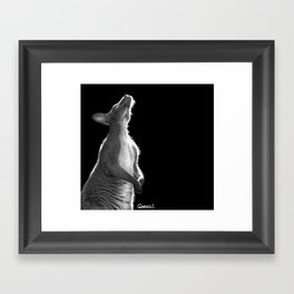 Wallaby Framed Art Print