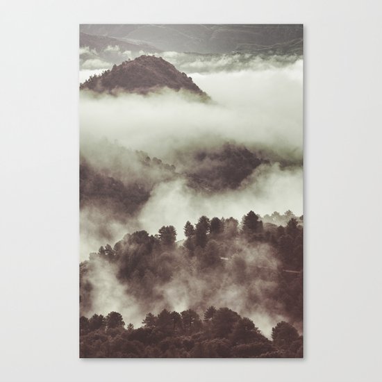 Foggy morning at the mountains. Retro forest Canvas Print