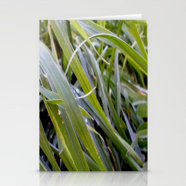 water and greenery Stationery Cards