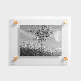 Summer Rowan Tree in Rough Monochrome Floating Acrylic Print
