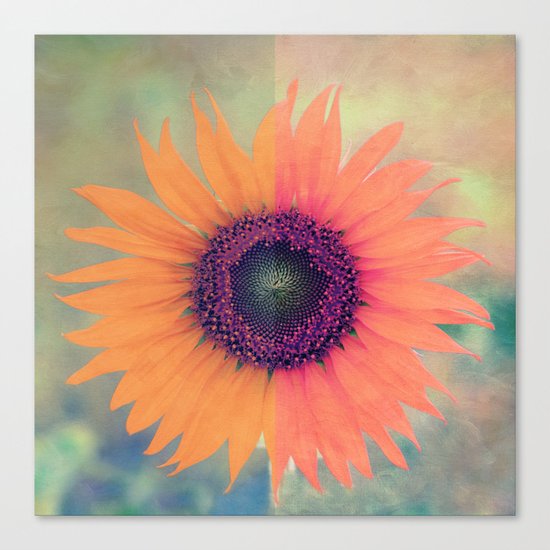 Flower I Canvas Print