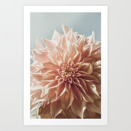 Always the Optimist x pink dahlia botanical flower photograph Art Print