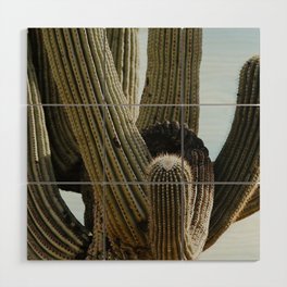 Saguaro Cactus - Color Wood Wall Art