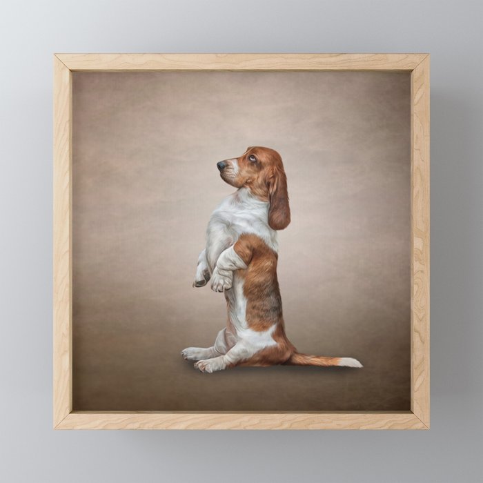 Drawing Basset Hound dog Framed Mini Art Print