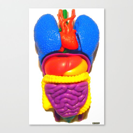 "PLASTIC ANATOMY" ...shirt/ iphone case Canvas Print