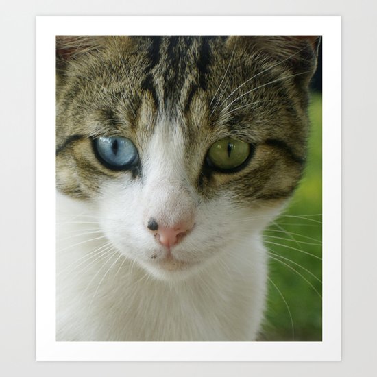 Two beautiful eyes Art Print