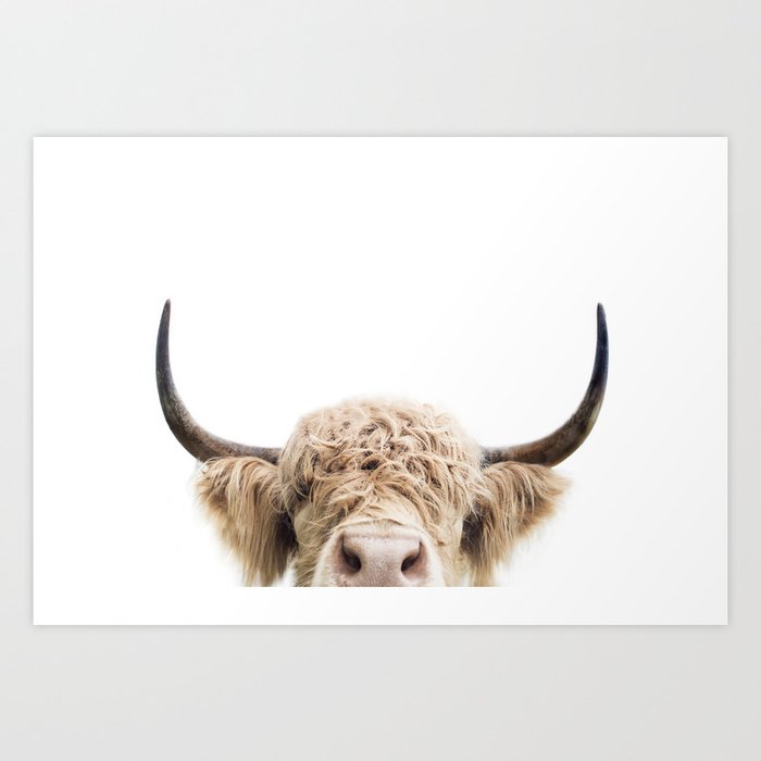 Peeking Highland Cow Art Print
