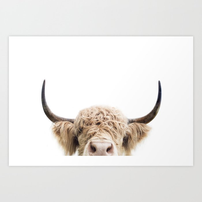 Peeking Highland Cow Art Print By Katypie Society6