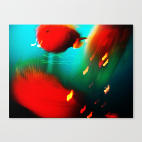 fishes fishes...:) Canvas Print