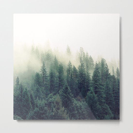 Foggy Winter Forest Metal Print